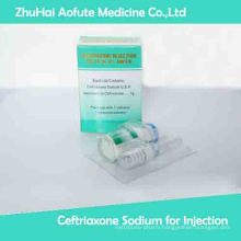 OEM Ceftriaxone Sodium for Injection